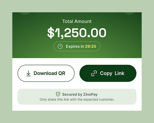 Expiring payment link details